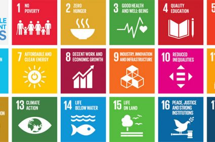 What is sustainable development?